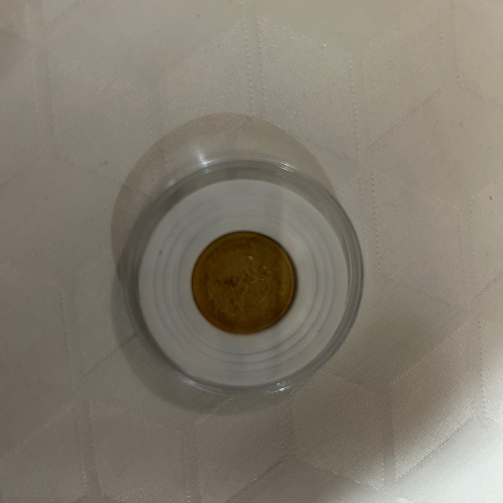 Gold Coin in Protective Case
Antique gold coin
8.6 grams